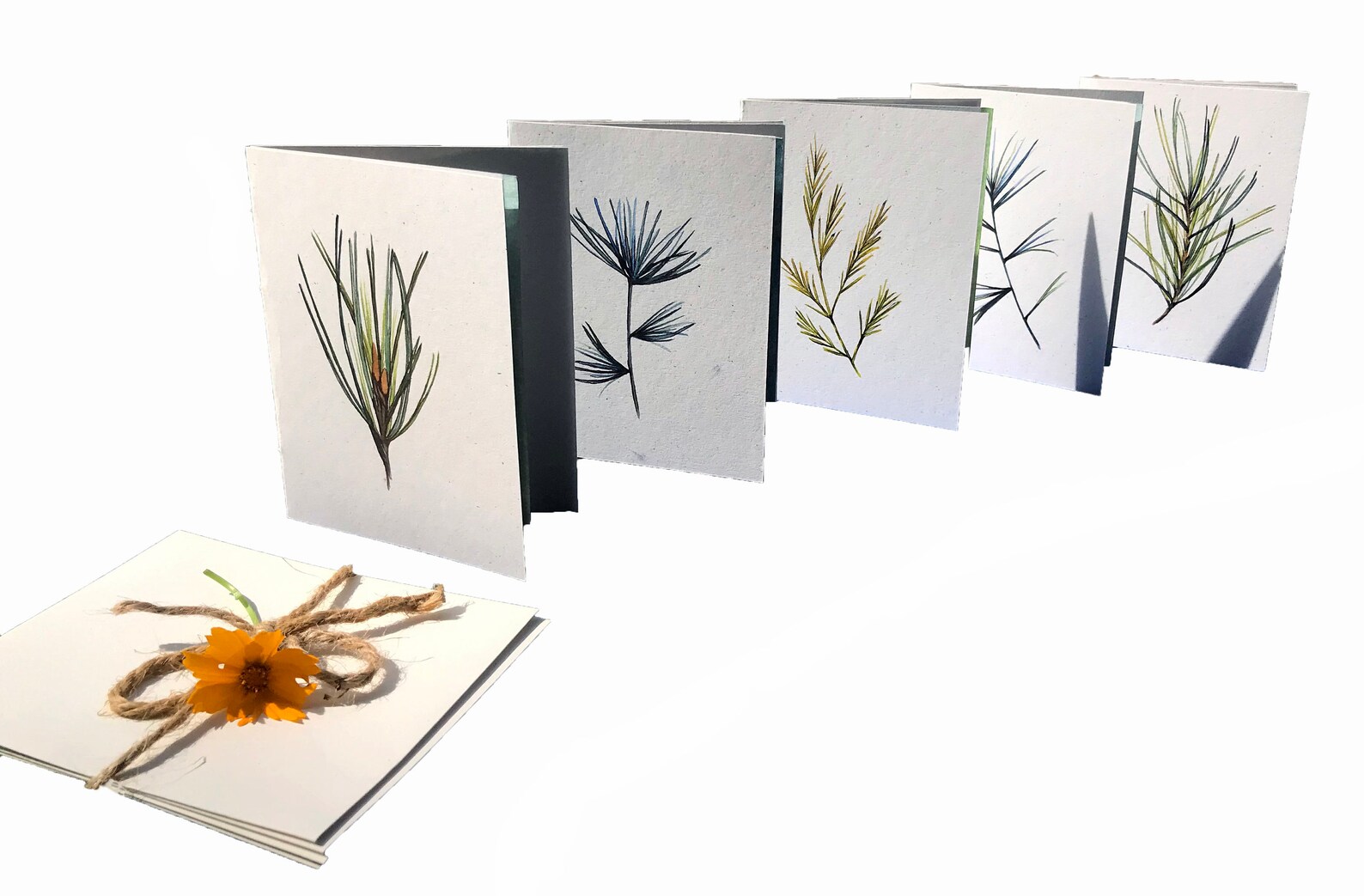 Recycled Pine Needles Set of 5 Handpainted Assorted Note Etsy