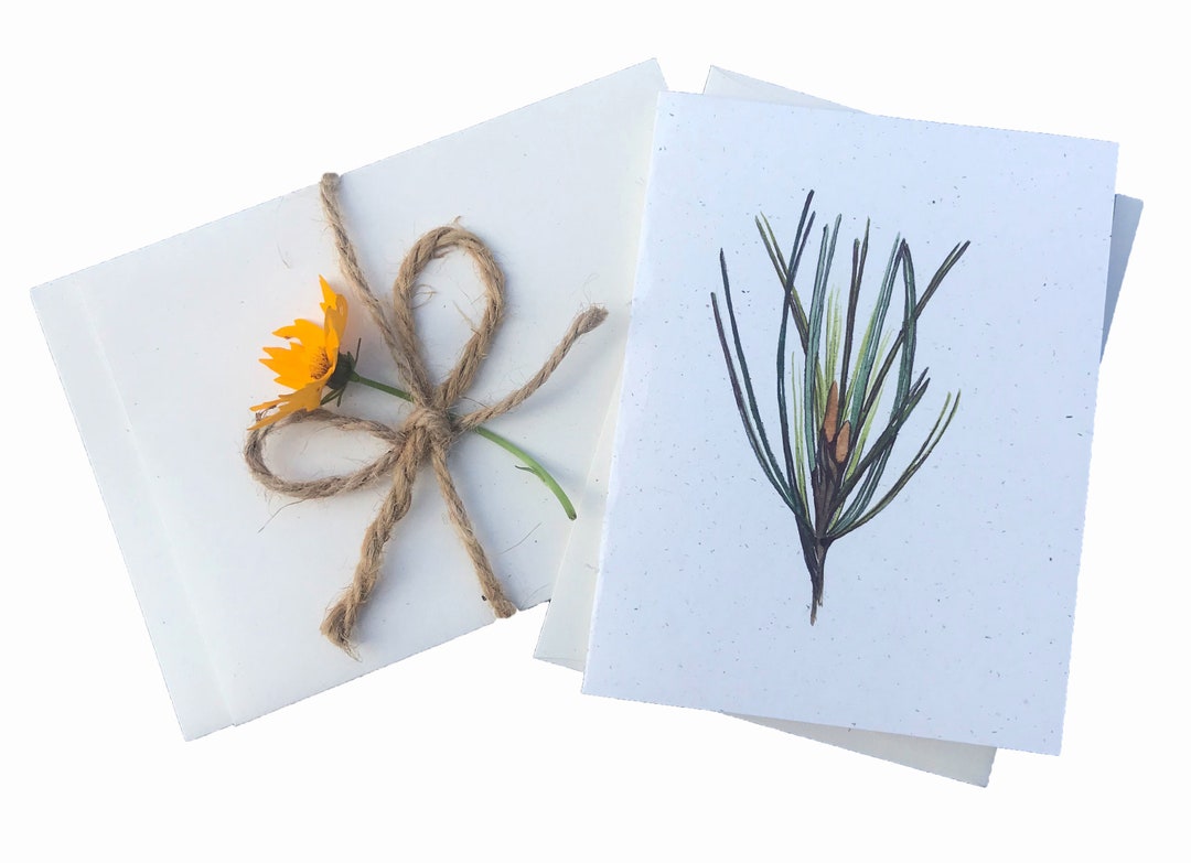 Recycled Pine Needles Set of 5 Handpainted Assorted Note Etsy