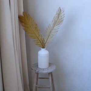 Dried Sago Palm Leaves (2 Pack) | Natural Boho Vase Decor, Rustic Wedding Arch Accent