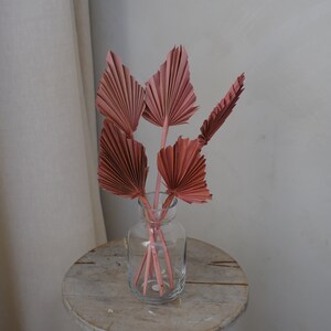 Dried Palm Spears Dried Flowers Palm Leaves Dried Bouquet Pampas Grass image 6