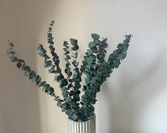Tiges d'eucalyptus séchées pour vase, verdure de mariage rouge et verte, feuillage en vrac pour guirlande, centre de table de ferme, fleur en arc DIY
