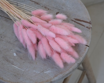Dried Bunnytails Pink (45 pcs/bunch) | Preserved Lagurus | Laguruz | Dried Bunnytails
