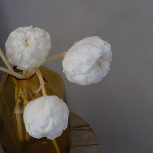 Peut inclure: Trois tiges de diffuseur en forme de fleur, blanches et moelleuses, dans un vase en verre brun. Les tiges sont dispos&eacute;es dans un vase &agrave; large ouverture et &agrave; base &eacute;troite.