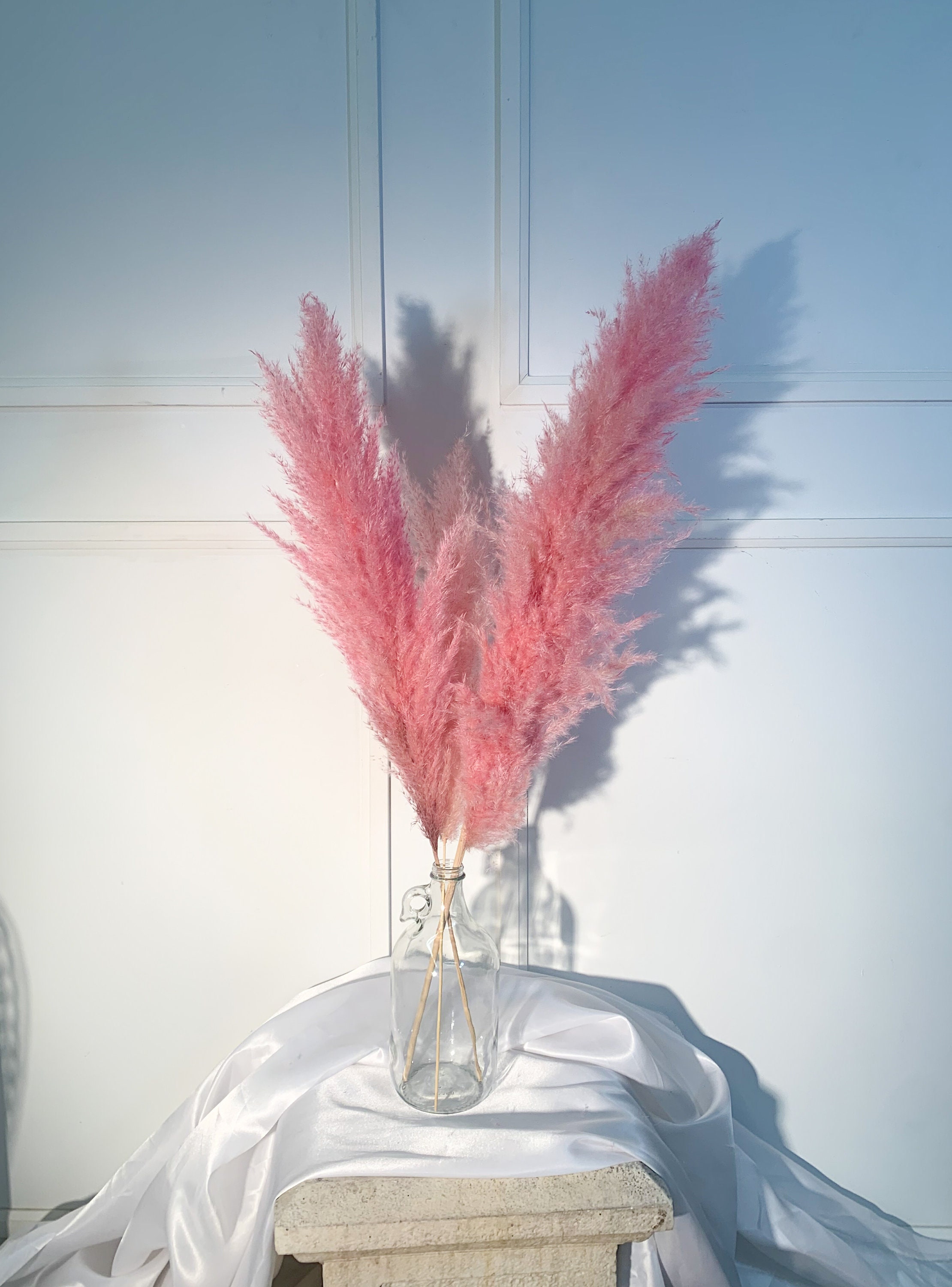 Pampas Grass Cotton Candy Pink Etsy