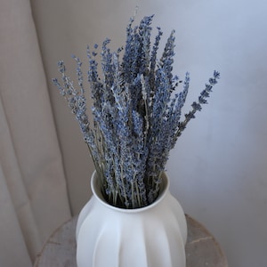 May include: A bouquet of dried lavender in a white, fluted vase. The lavender has a muted purple hue, and the vase sits on a light-colored wooden surface. The background is a soft, neutral tone, creating a calming aesthetic.
