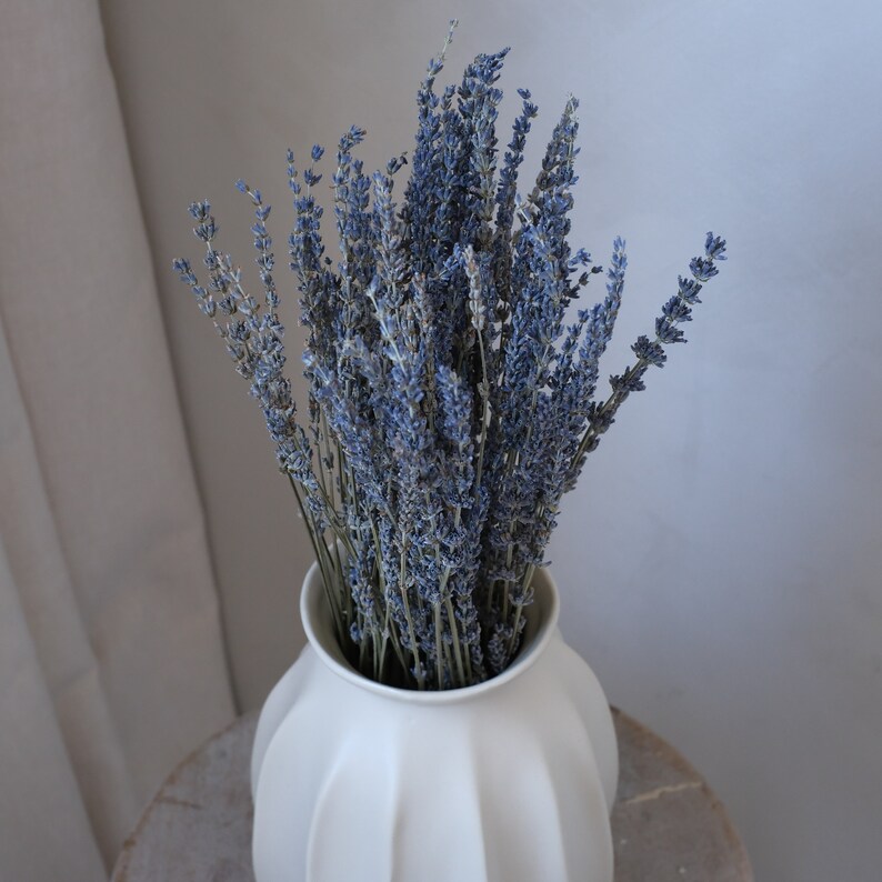 May include: A bouquet of dried lavender in a white, fluted vase. The lavender has a muted purple hue, and the vase sits on a light-colored wooden surface. The background is a soft, neutral tone, creating a calming aesthetic.