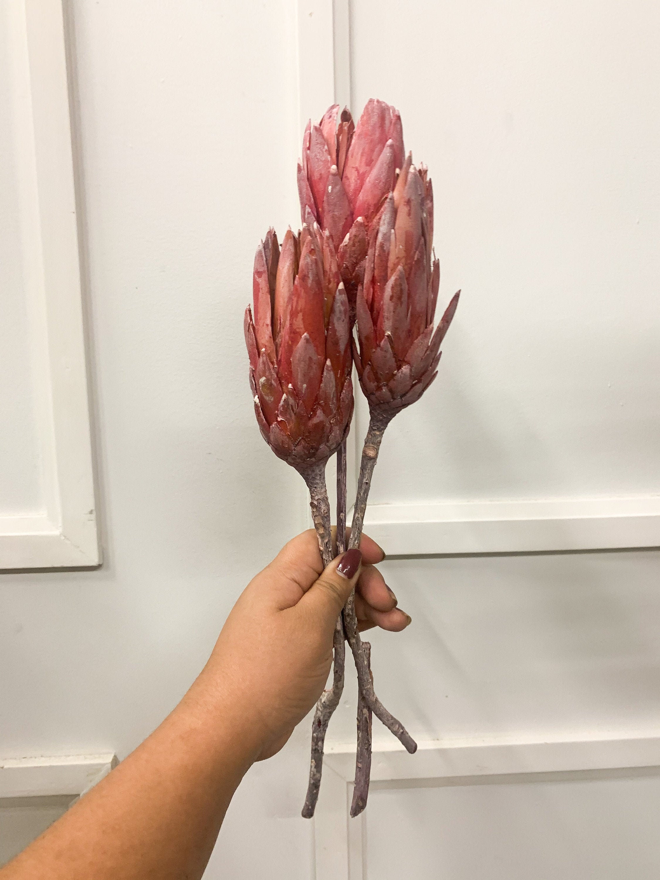 Preserved Protea Flowers Dried Protea Flowers Pack of 3 Etsy