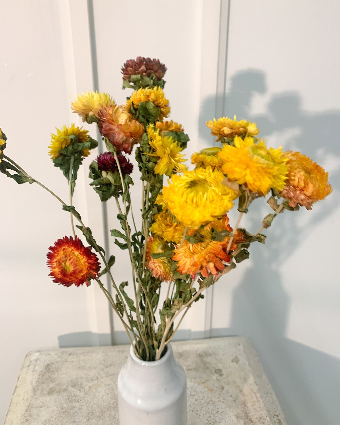 Dried Chrysanthemum bunch Etsy