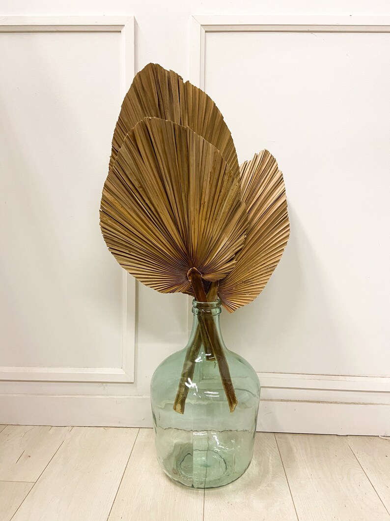 Large Palm Leaf Dried Palm Leaf Dried Anahaw image 0