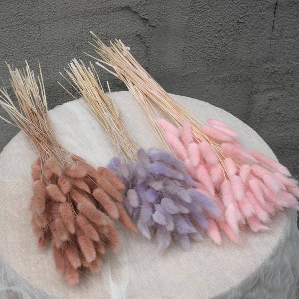 Dried Bunnytails (45 pcs/bunch) | Preserved Lagurus | Laguruz | Dried Bunnytails