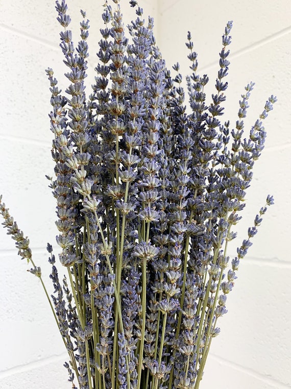 Lavanda seca (mazo)