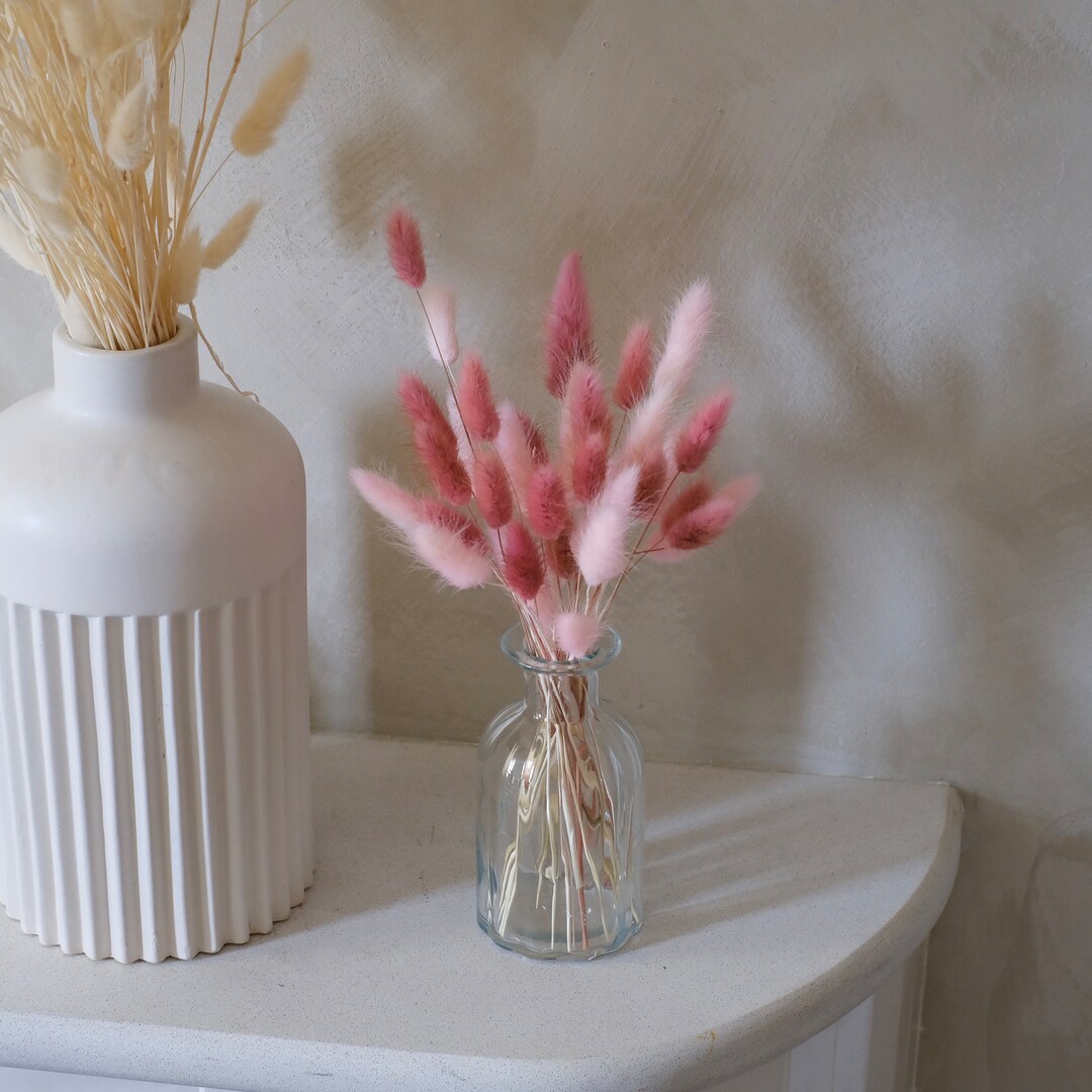 Bud Glass Vase Bunny Tails Tabletop Vase Desktop Vase Etsy