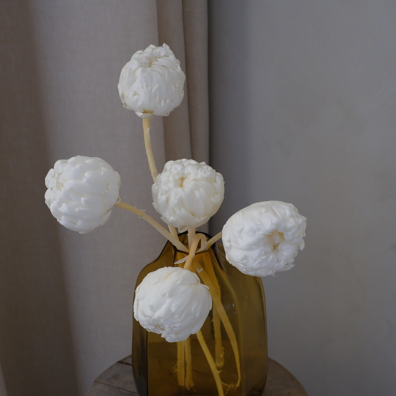 Peut inclure: Un bouquet de cinq fleurs s&eacute;ch&eacute;es blanches dans un vase en verre brun. Les fleurs sont dispos&eacute;es en &eacute;ventail et ont un aspect textur&eacute; et moelleux.