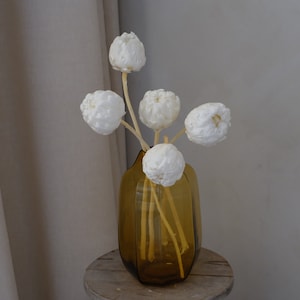 Peut inclure: Un vase en verre brun de forme carr&eacute;e contient un bouquet de fleurs s&eacute;ch&eacute;es blanches. Les fleurs ont une texture moelleuse et sont dispos&eacute;es dans un design simple et &eacute;l&eacute;gant.