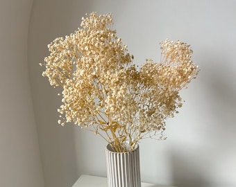 Preserved Baby's Breath Bouquet | Dried Gypsophila Flowers | Baby Breath Bundle | Wedding Decor | Floral Arrangement