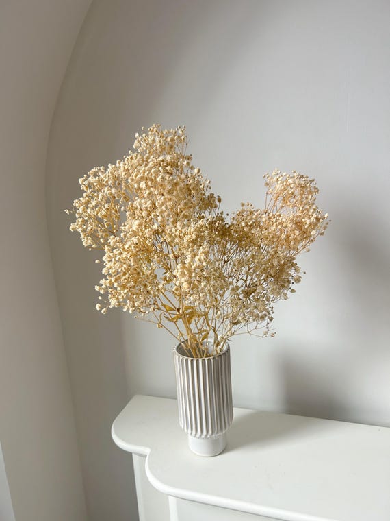 Preserved Baby's Breath Bouquet | Dried Gypsophila Flowers | Baby Breath Bundle | Wedding Decor | Floral Arrangement