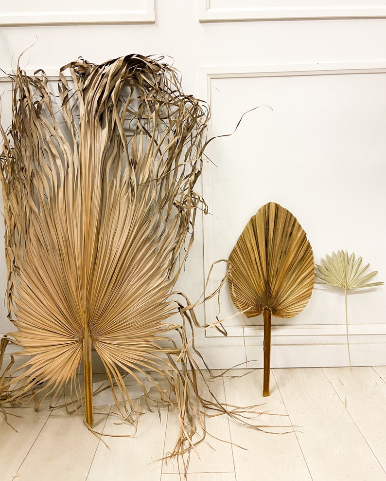 Large Palm Leaf Dried Palm Leaf Dried Anahaw Etsy Canada