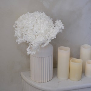 Premium Preserved  Hydrangea|Home & Living |Weddings| Gifts  Mementos|