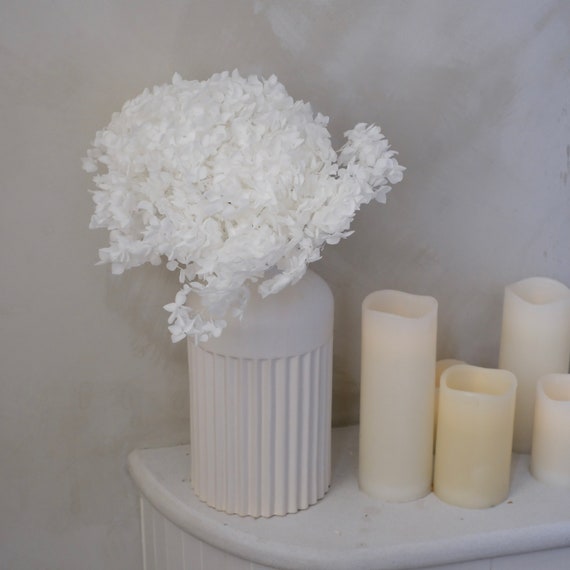 White Preserved Hydrangea Stem | Home Decor, Wedding