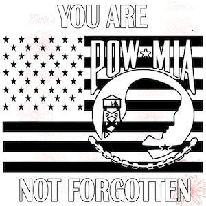POW MIA gone but not forgotten
