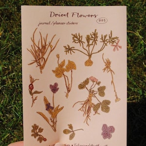 "Stickerbogen ""Dried Flowers"" für Journals und Planer."