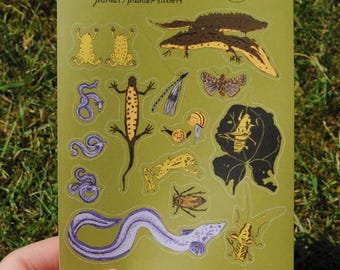 May include: A sheet of stickers featuring illustrations of various creatures found in bogs, including frogs, newts, insects, and a snake. The stickers are on a green background and have the text "Bog-Dwellers 007 journal/planner stickers" at the top.