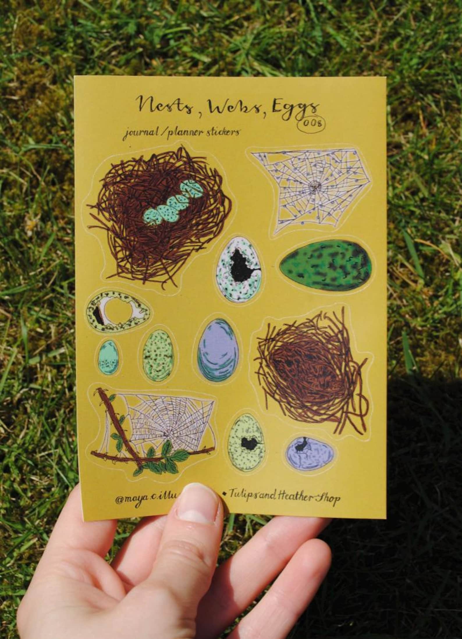 Sticker Sheet "nests, Webs, Eggs" for Journals and Planners - Etsy