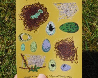 May include: A sheet of yellow paper with a set of 10 stickers featuring illustrations of nests, webs, and eggs. The stickers are labeled "Nests, Webs, Eggs" and "journal/planner stickers".