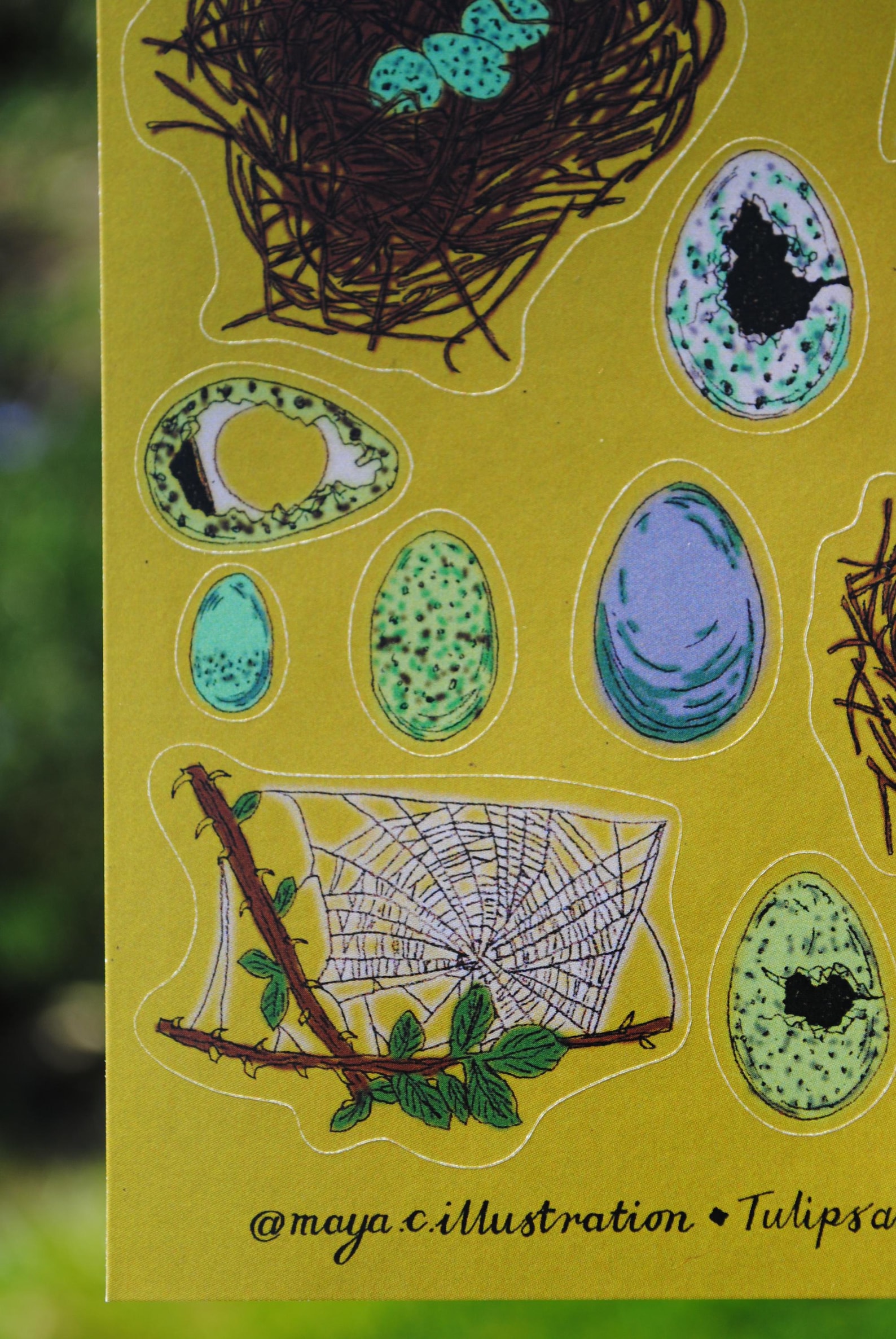 Sticker Sheet "nests, Webs, Eggs" for Journals and Planners - Etsy