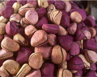 Kolanut | Obi | Fresh Kola Nut- Fresh arrived UK 9th March