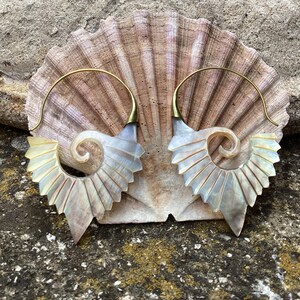 May include: A pair of iridescent shell earrings with a spiral design. The earrings are made of mother of pearl and have a gold-tone finish.