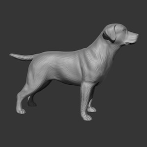 Labrador Retriever 3D Sculpture for 3D printing .STL file