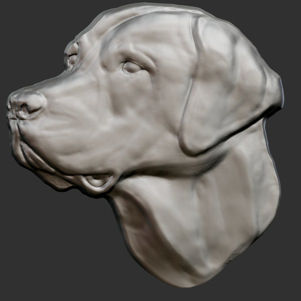 Labrador Retriever Head 3D Relief Sculpture 3D model .STL