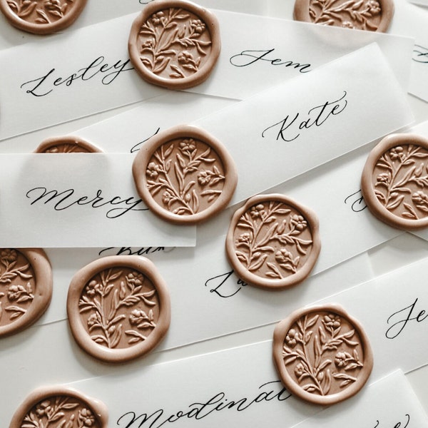 Vellum Wax Seal Wedding Place Names, Minimalist Wedding Place Card, Calligraphy Name Cards, Simple Wedding Place Cards