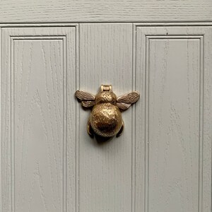 May include: A gold bee-shaped door knocker on a white wooden door.