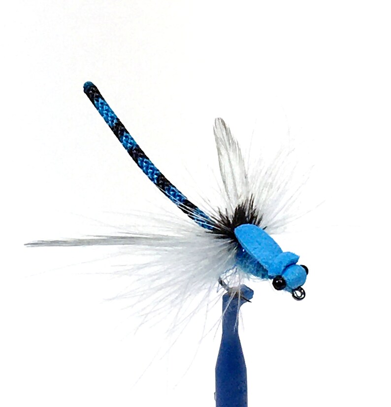 Adult Damsel Fly Dragonfly pattern Realistic 4 Color Etsy