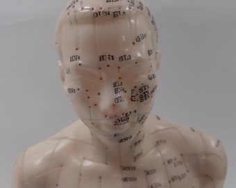 Acupuncture Model -Large Male Acupuncture Practice Display Figure Curiosity - 19 1/2" Tall - Medical Figure