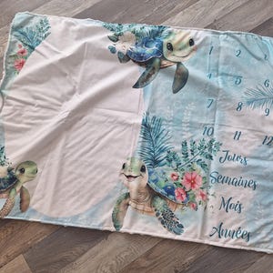 step cover