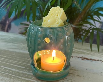 Cactus burner Wax Melt Set - Cactus Burner With Set of 3 Wax Melts & 3 Unscented Tealights