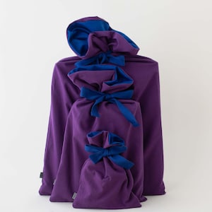 Sac cadeau violet et bleu