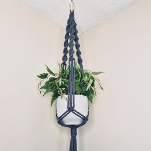 May include: A grey macrame plant hanger with a white pot and a green plant hanging from it. The hanger is attached to a white ceiling.