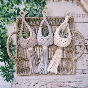 May include: Three macrame plant hangers with tassels in beige, grey, and white. Each hanger has a small potted plant inside.