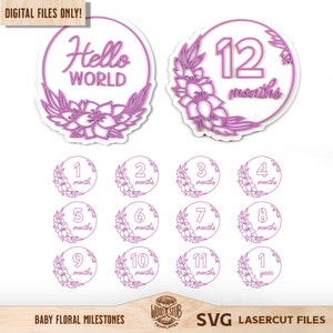 Bebé Hito SVG, Hito mensual SVG, Marcador de hito SVG, Marco de hito del bebé, Marco floral svg, Anuncio de nacimiento, Glowforge svg
