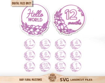 Bebé Hito SVG, Hito mensual SVG, Marcador de hito SVG, Marco de hito del bebé, Marco floral svg, Anuncio de nacimiento, Glowforge svg