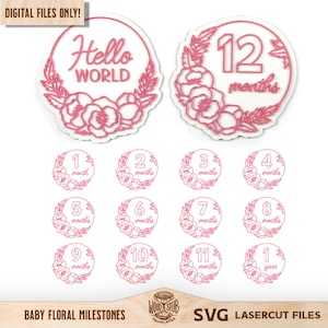 Baby Meilenstein SVG, monatlich Meilenstein SVG, Meilenstein Marker SVG, Baby Meilenstein Rahmen, Blumenrahmen svg, Geburtsanzeige, Glowforge svg