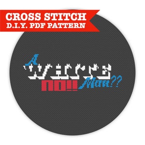 A White Man?? -- DIY PDF Cross Stitch Pattern