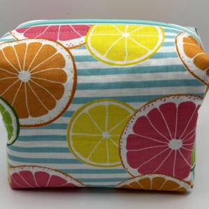 Handmade Cosmetic Bag, Travel Bag, Trendy Teen Pouch, Citrus Zipper Bag