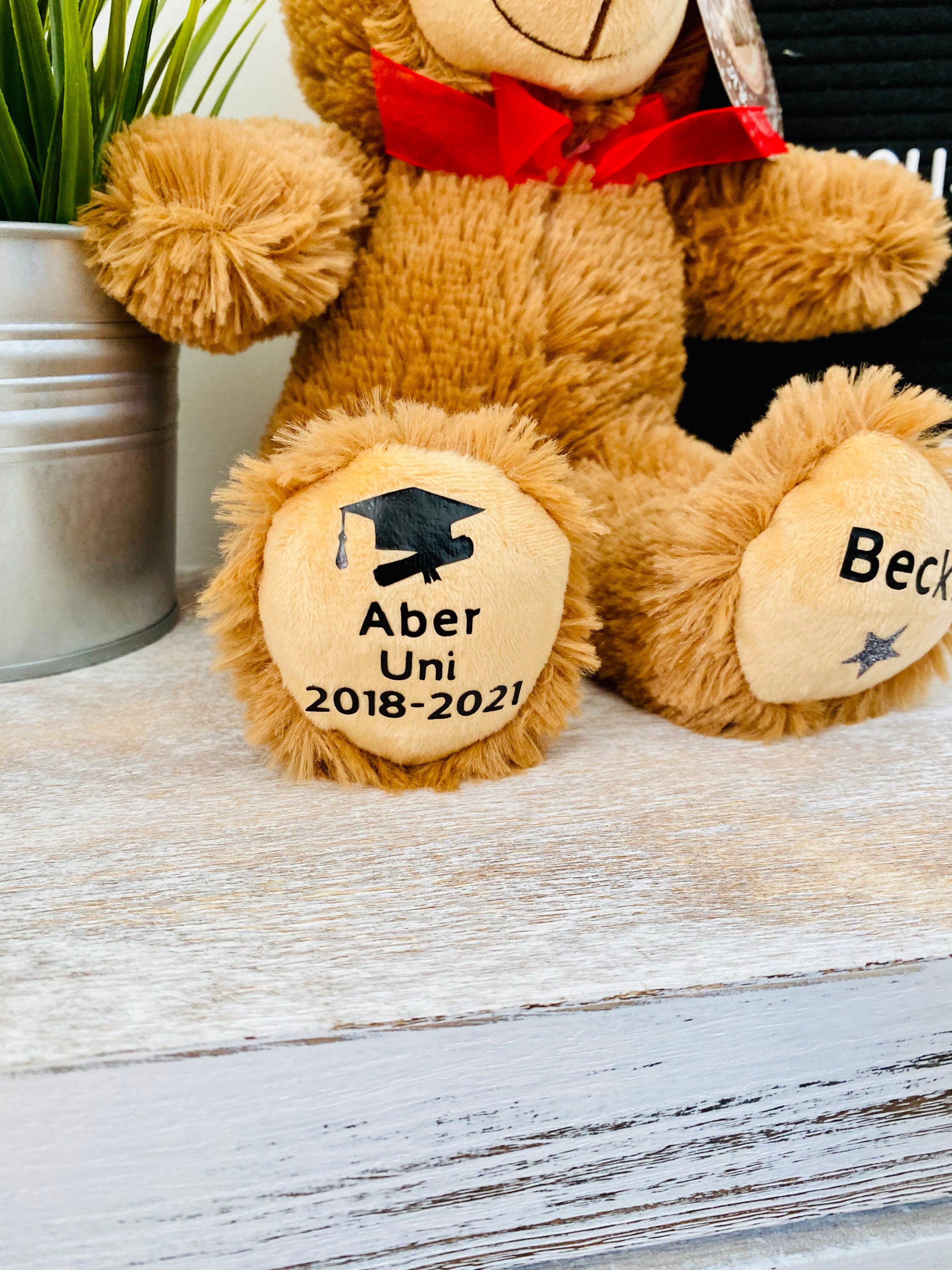 Personalised University Graduation Bear Class of 2022 Gift Etsy UK