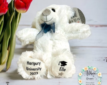 Personalised University Graduation Bear ~ Class of 2023 Gift ~ 2023 Graduation ~ School ~ University ~ College ~ Congratulations gift