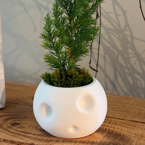 Kodama Kerra Pot Planter | pot plant |  pot plants indoor | indoor plants